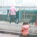 가은동물농장 이미지