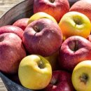 글맥입시학원 이미지