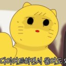 꼬르륵