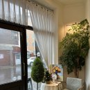 퐁신퐁신 이미지