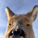 미래연합가정의학과의원 이미지