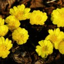 동산농원 이미지