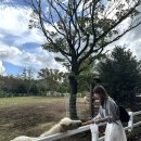 적점