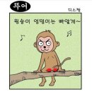 원숭이 엉덩이는 빨개 이미지