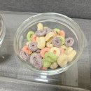 바로덴탈랩스 | 제로랩스 강아지시리얼 멍스캐롭 프레쉬링 간식 후기