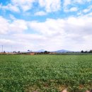 바다품은집 이미지