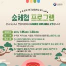 숲에서놀자 이미지