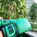 바카티오 이미지