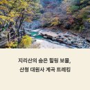 대원사 | 산청 대원사 계곡 트레킹 후기 + 산청 가볼만한 곳 추천