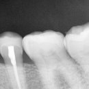 엠웍스 치과기공소 이미지