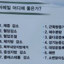 메밀랑 이미지