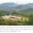 속초솔향민박