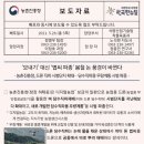 &#39;모내기 벼 품종&#39; 외래품종 줄어들고 국산품종(알찬미‧참드림‧해들) 늘어난다