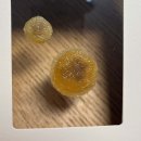 차영수피부과의원 이미지