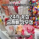 대한꽃집 | 24시간 문 여는 상무지구 꽃집, 금사빠에서 금전수 화분 구매 후기