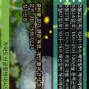 별내리는숲 이미지