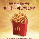 맥도날드 행운버거 스페셜팩 출시 + 컬리후라이 단품 판매 이미지