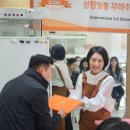 프린세스 캣 | 고양이미용사협회 ICGA 성향맞춤 무마취 미용 세미나 후기(김해프린세스캣,임온실대표님) 😻훤칠한고양이