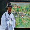 봉황마을 | 퇴계 귀향길 11일차 7편,봉황과 풍기 금계