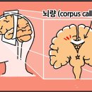 선암호수태권도 이미지