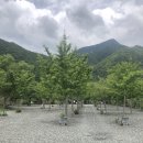 산솔 캠핑장 이미지
