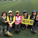 길상초교 이미지