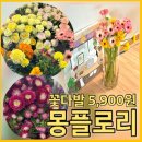 행복꽃 | [김포꽃집] 단돈 5,900원의 행복! 김포꽃배달, 꽃당일배송부터 분갈이까지 몽플로리 솔직 후기