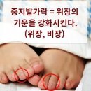 다섯발가락