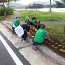 동암체육공원 이미지