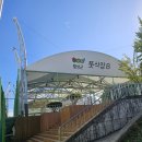 섬강축산 | 횡성 한우 축제에서 먹은 살치살만 생각나요