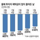 코인홀덤