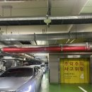 씨티빌딩(시티) | W. 부산 웨딩홀 상담 비교 후기: W웨딩 vs 다이렉트