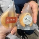 네오캣디자인관미술학원 | #10 [홍대 방탈출] 방탈출 토끼굴 두껍아 두껍아 헌집줄게 새집다오~