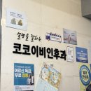 드림온누리약국 | 코코이비인후과 + 새종로약국 마운자로 5mg 구매 후기 (대기 시간 가격 온누리)