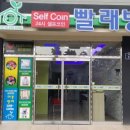 크린킹셀프빨래방 - 음성군 오태로 155 | 크린킹셀프빨래방