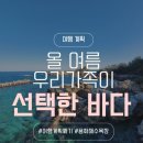 아이와 여름휴가, 우리가 용화해변을 선택한 이유 🌊