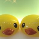 다비치안경부산대점 이미지