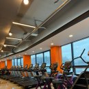 힙앤업휘트니스 이미지