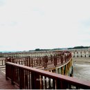 무안황토갯벌랜드 생태갯벌과학관 이미지