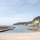 영덕읍사무소 | 영덕 블루로드 완주 / B코스 (죽도산, 블루로드다리, 석리방파제)