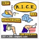 p.179 {책속에 나타난 잘못된 의학 상식 1 } - Rice 원칙을 아시나요? 이미지