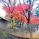 덕수궁길 이미지