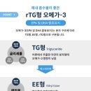 카포리아
