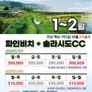 파인비치 이미지