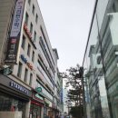 김진호치과교정과치과의원 네이버블로그