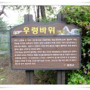 매봉초교 이미지