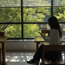 영란국밥 | [전주] 가을의 정취가 물씬 느껴지는 전주에서