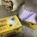 퍼플댕댕 이미지