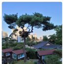 한진에버빌 앞 이미지