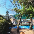 노승산우무실마을 이미지